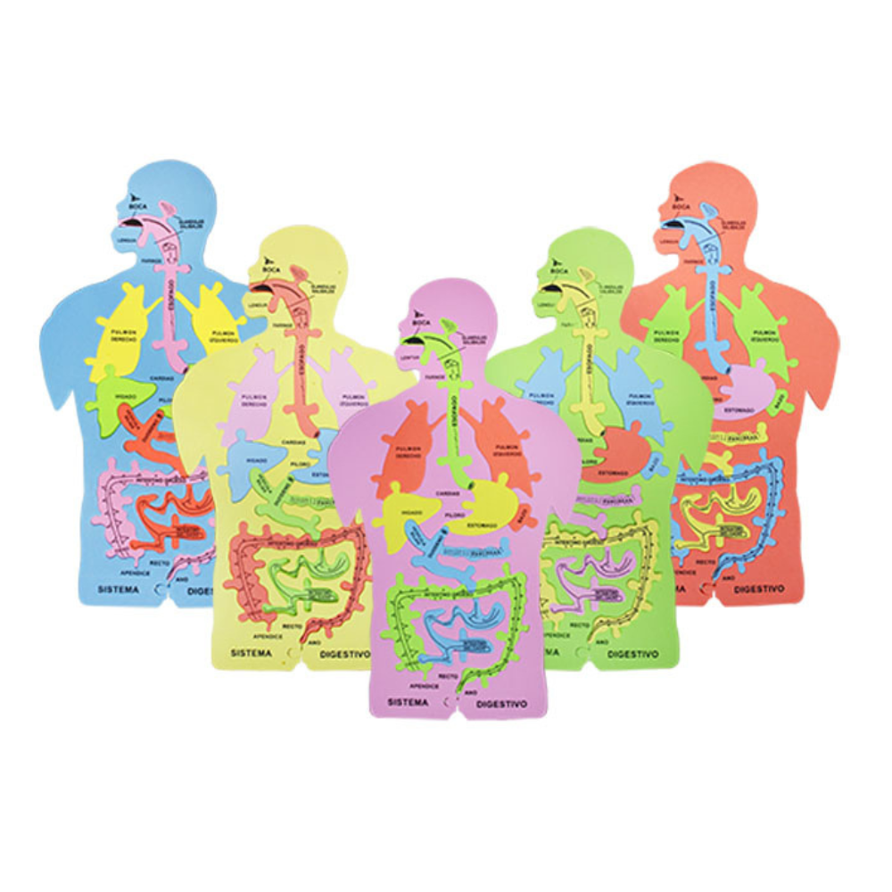 Rompecabezas Foamy Cuerpo Humano 26 x 10 cm Total School