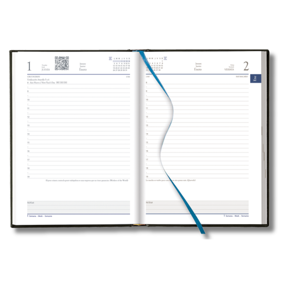 Agenda 2026 Diaria 14.5 x 20.5 Tucson Azul Danpex