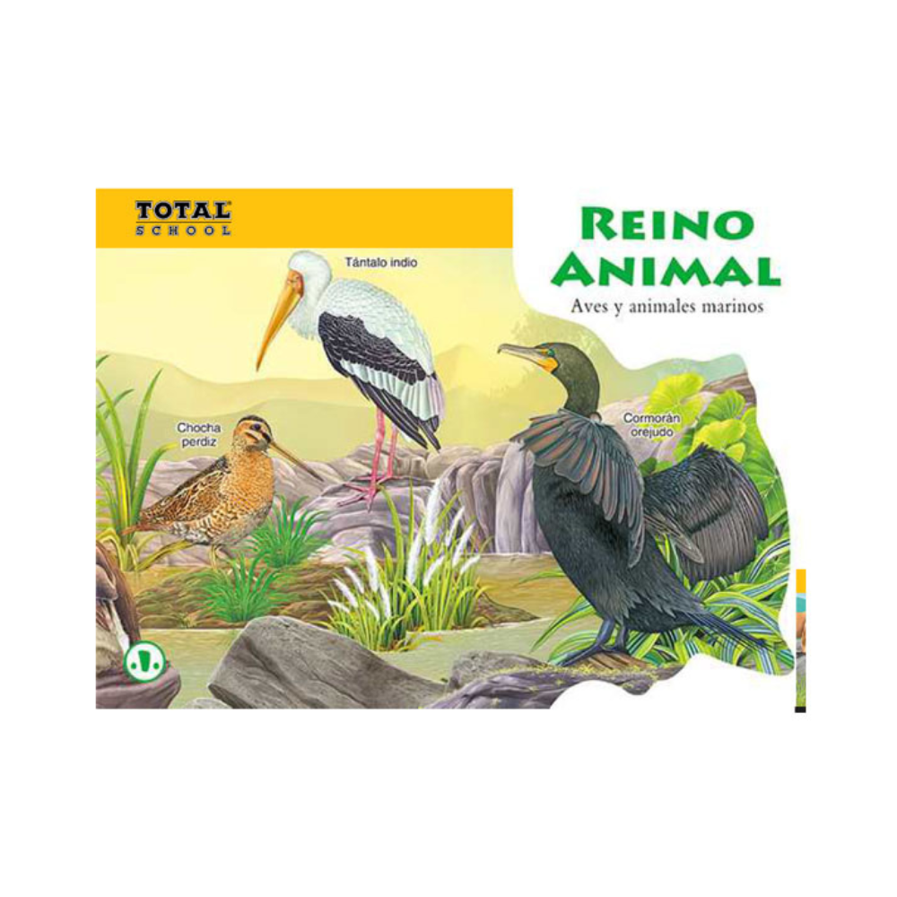 Libro Reino Animal Aves y Animales Marinos Total School– Papelería del  Ahorro