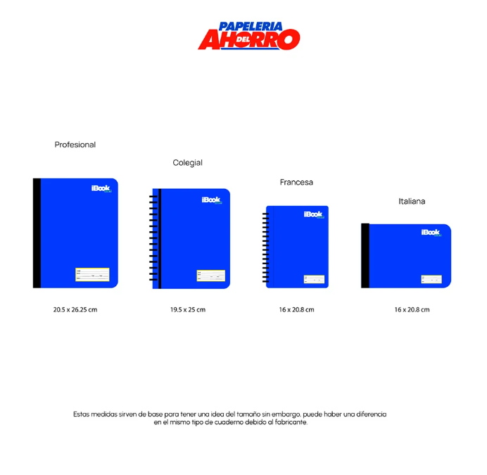 CUADERNO PROFESIONAL DOBLE ARILLO CUADRO GRANDE 100HJS LIFE IBOOK