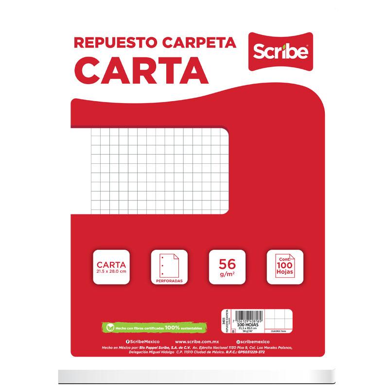 Hojas de Repuesto Carta Cuadro Grande 100 hjs Scribe
