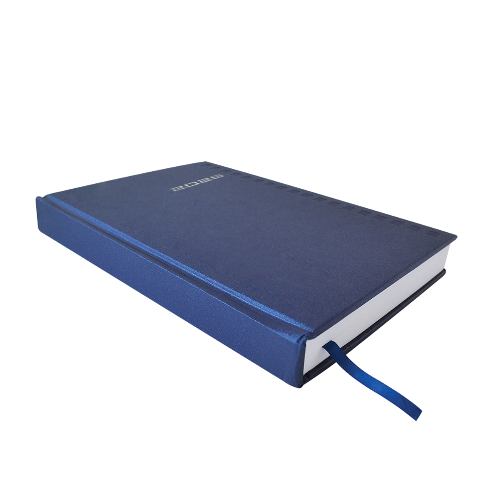 Agenda 2026 Diaria 14.5 x 20.5 Shot Azul Danpex