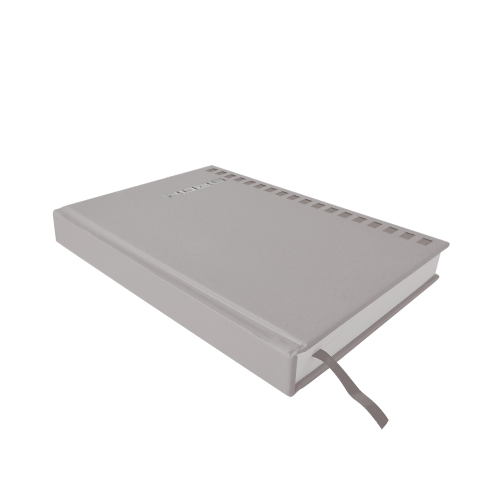 Agenda 2026 Diaria 14.5 x 20.5 Shot Plata Danpex