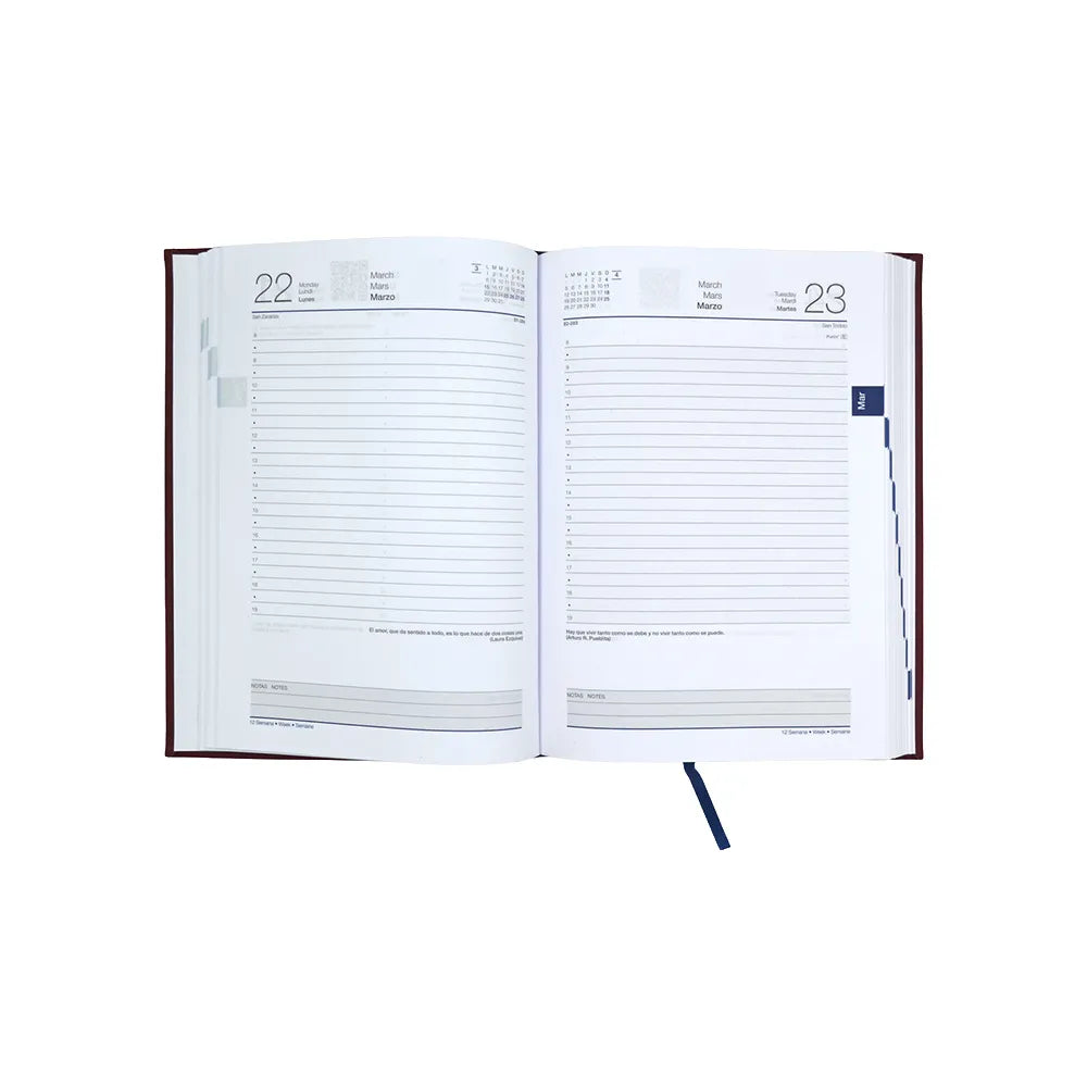 Agenda 2027 Diaria 14.5 x 20.5 Tucson Miel Danpex