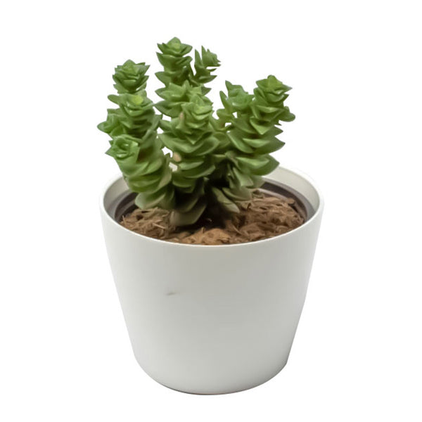 Planta Artificial con Maceta Circular ITrade