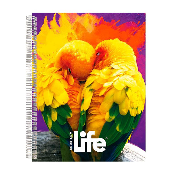 Cuaderno Espiral Francés Cuadro Grande 100 hjs Life Ibook